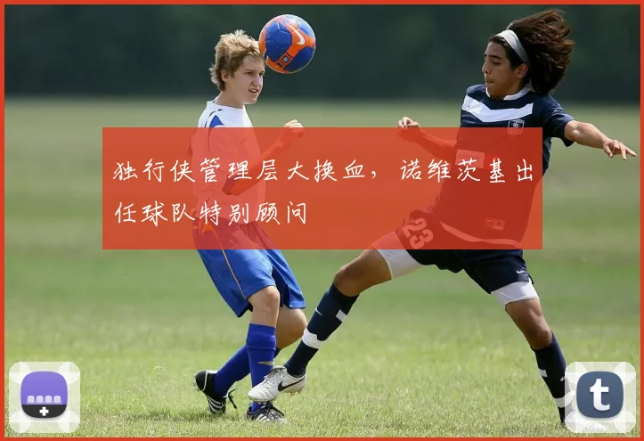 独行侠管理层大换血,诺维茨基出任球队特别顾问