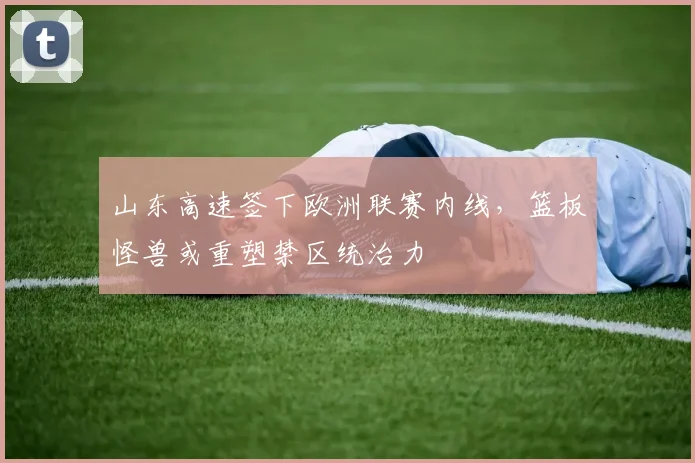 山东高速签下欧洲联赛内线,篮板怪兽或重塑禁区统治力